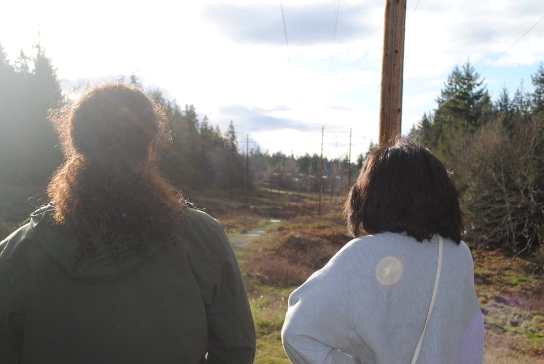 Two people seen from behind on a path beneath powerlines